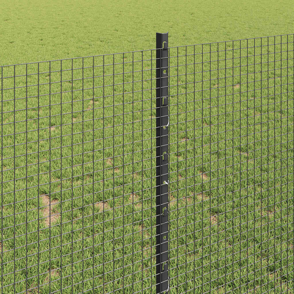 Welded Wire Fence with Post 100 x 1 m (W x H) PVC-Coated Steel