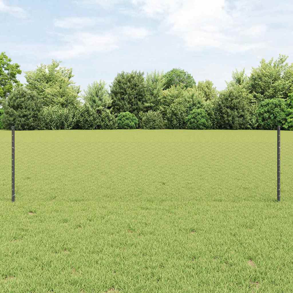 Welded Wire Fence 100 x 0.5 m (W x H) PVC-Coated Steel Grey