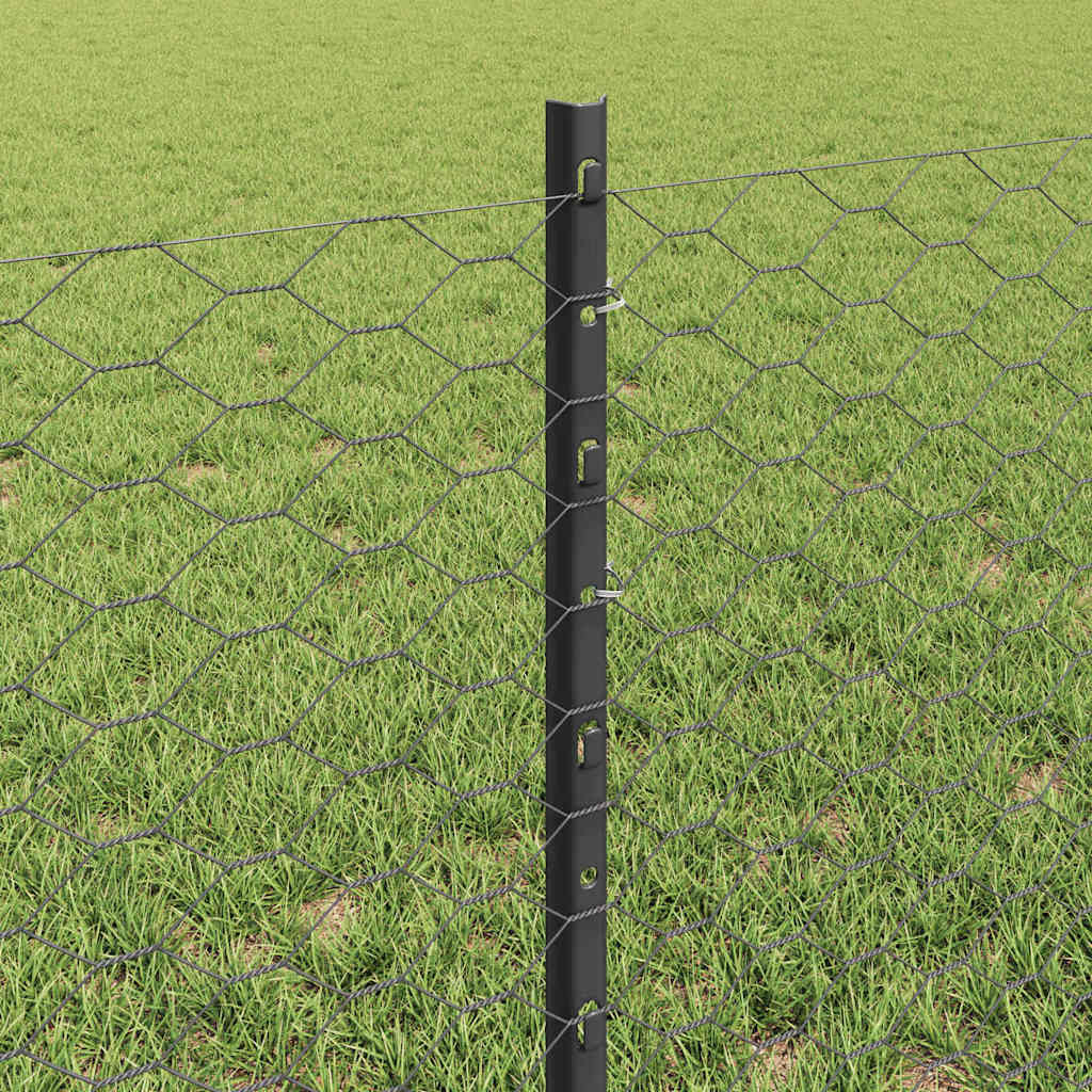 Welded Wire Fence 100 x 0.6 m (W x H) PVC-Coated Steel Grey