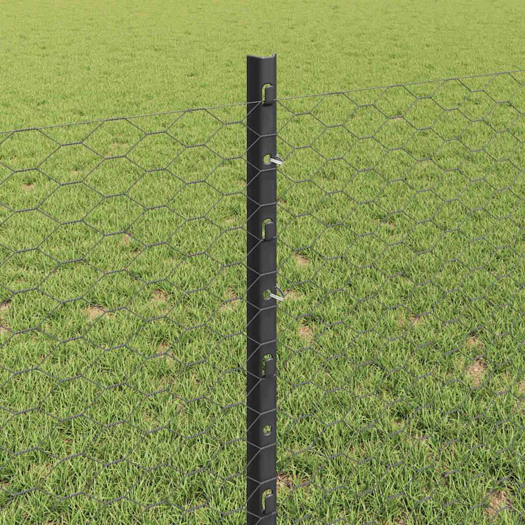 Welded Wire Fence 100 x 0.8 m (W x H) PVC-Coated Steel Grey