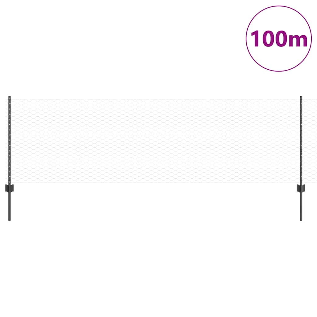 Welded Wire Fence 100 x 0.8 m (W x H) PVC-Coated Steel Grey