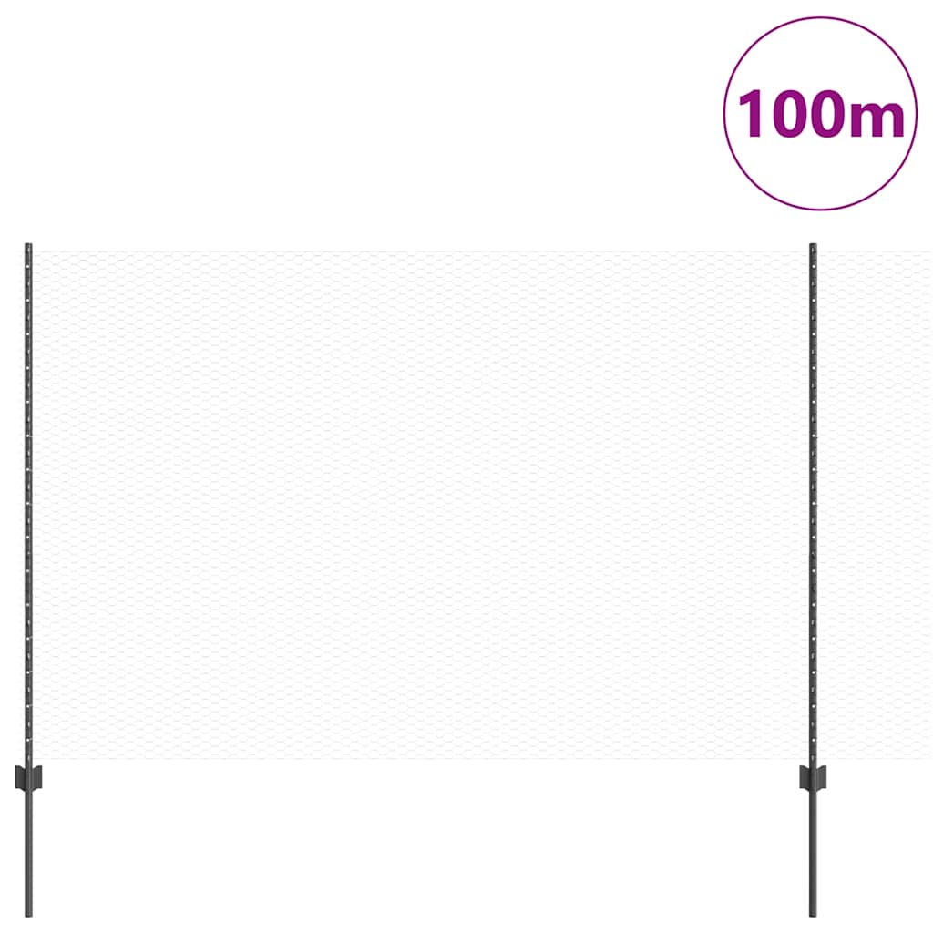 Welded Wire Fence 100 x 1.6 m (W x H) PVC-Coated Steel Grey