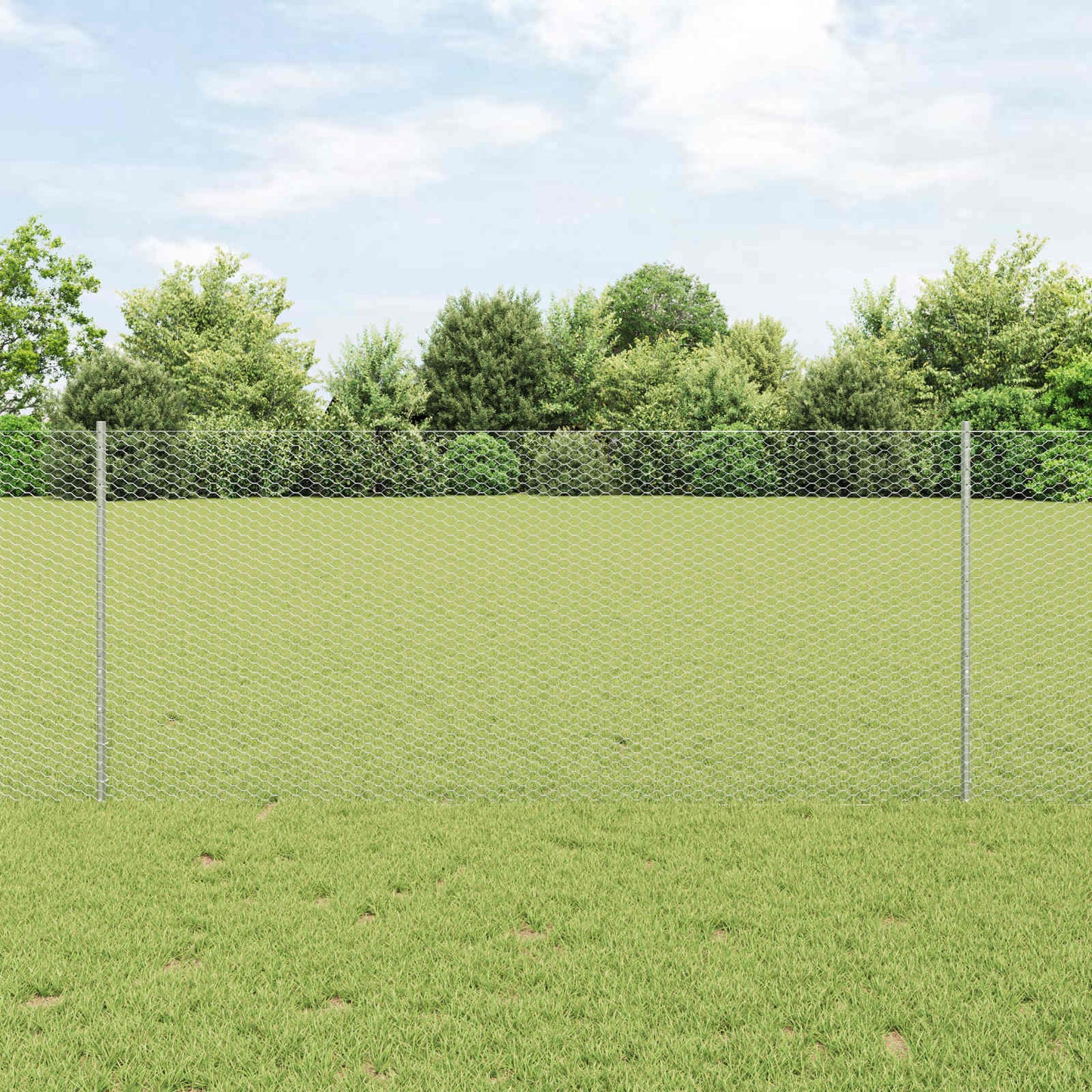 Welded Wire Fence 25 x 1 m (W x H) Hot-Dip Galvanised Steel