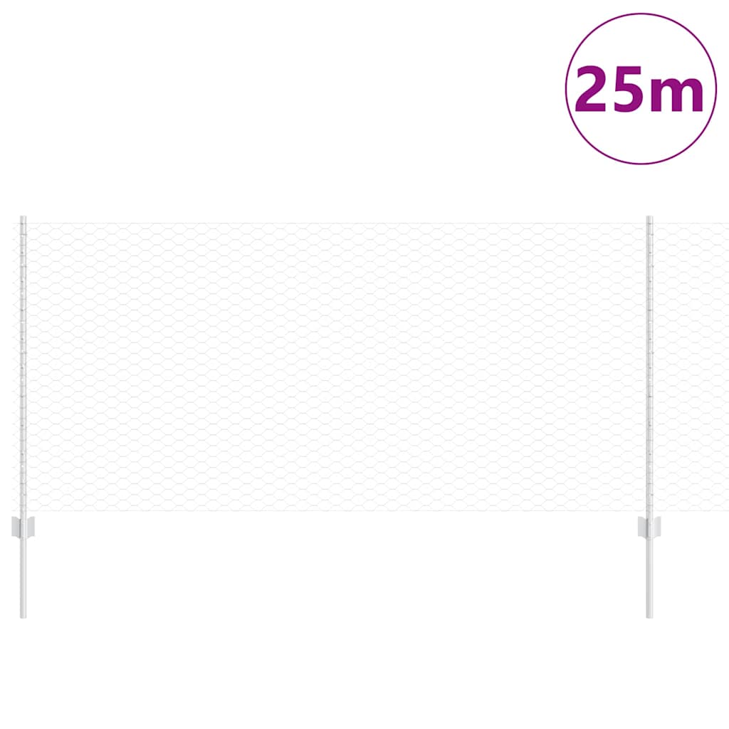Welded Wire Fence 25 x 1 m (W x H) Hot-Dip Galvanised Steel
