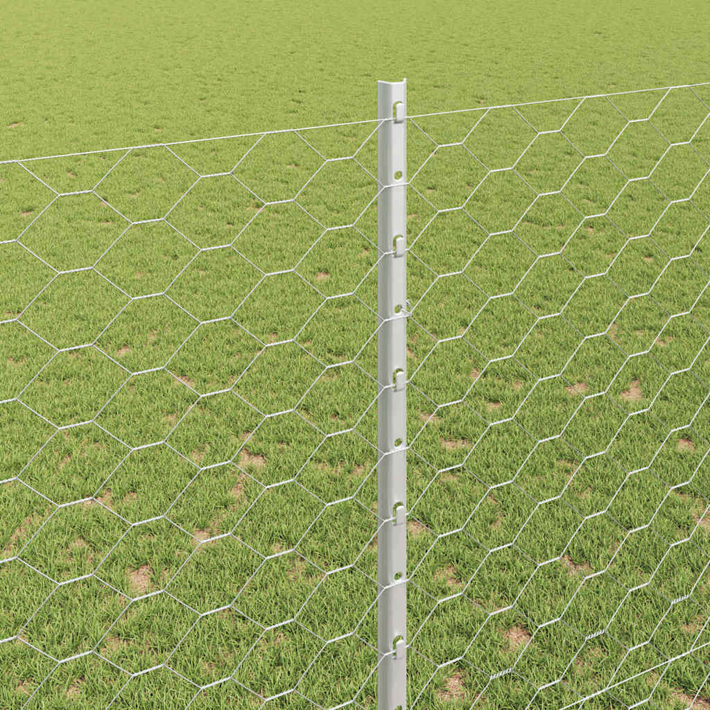 Fence with Post Silver