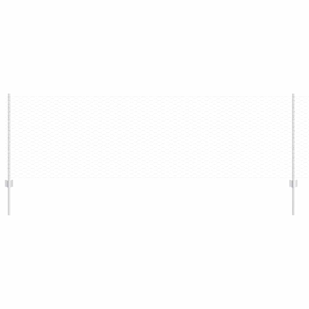 Welded Wire Fence 100 x 0.8 m (W x H) Hot-Dip Galvanised Steel