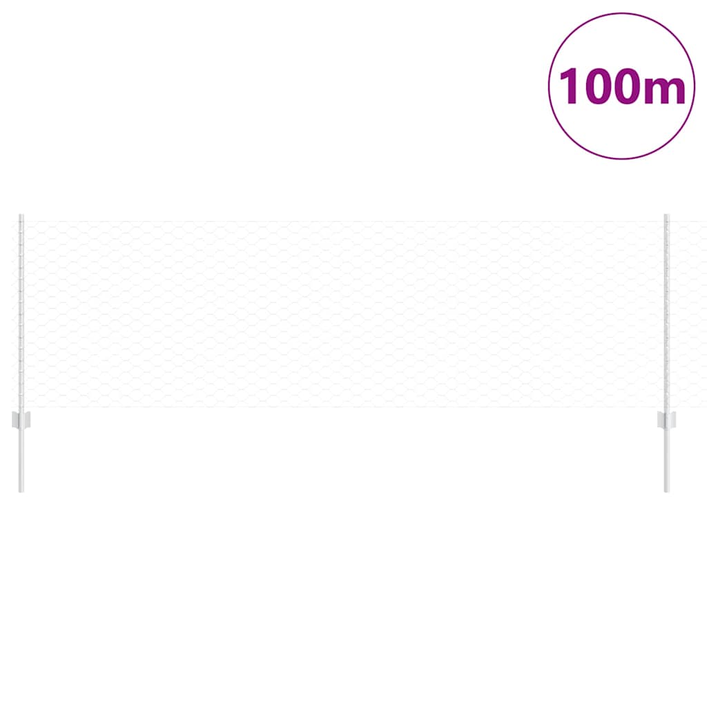 Welded Wire Fence 100 x 0.8 m (W x H) Hot-Dip Galvanised Steel