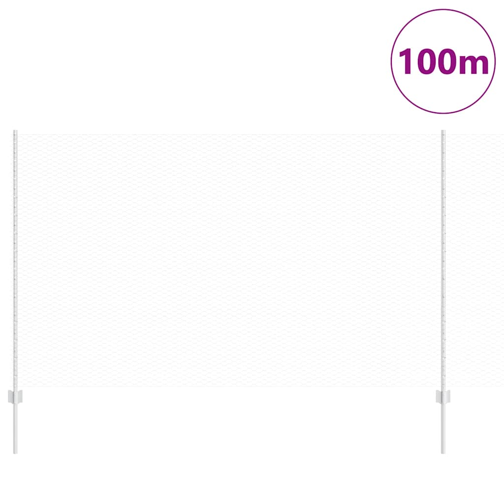 Fence with Post Silver