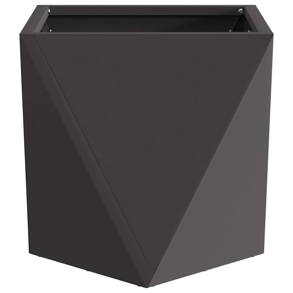 Planter 2 pcs Black 30 x 30 x 30 cm Steel