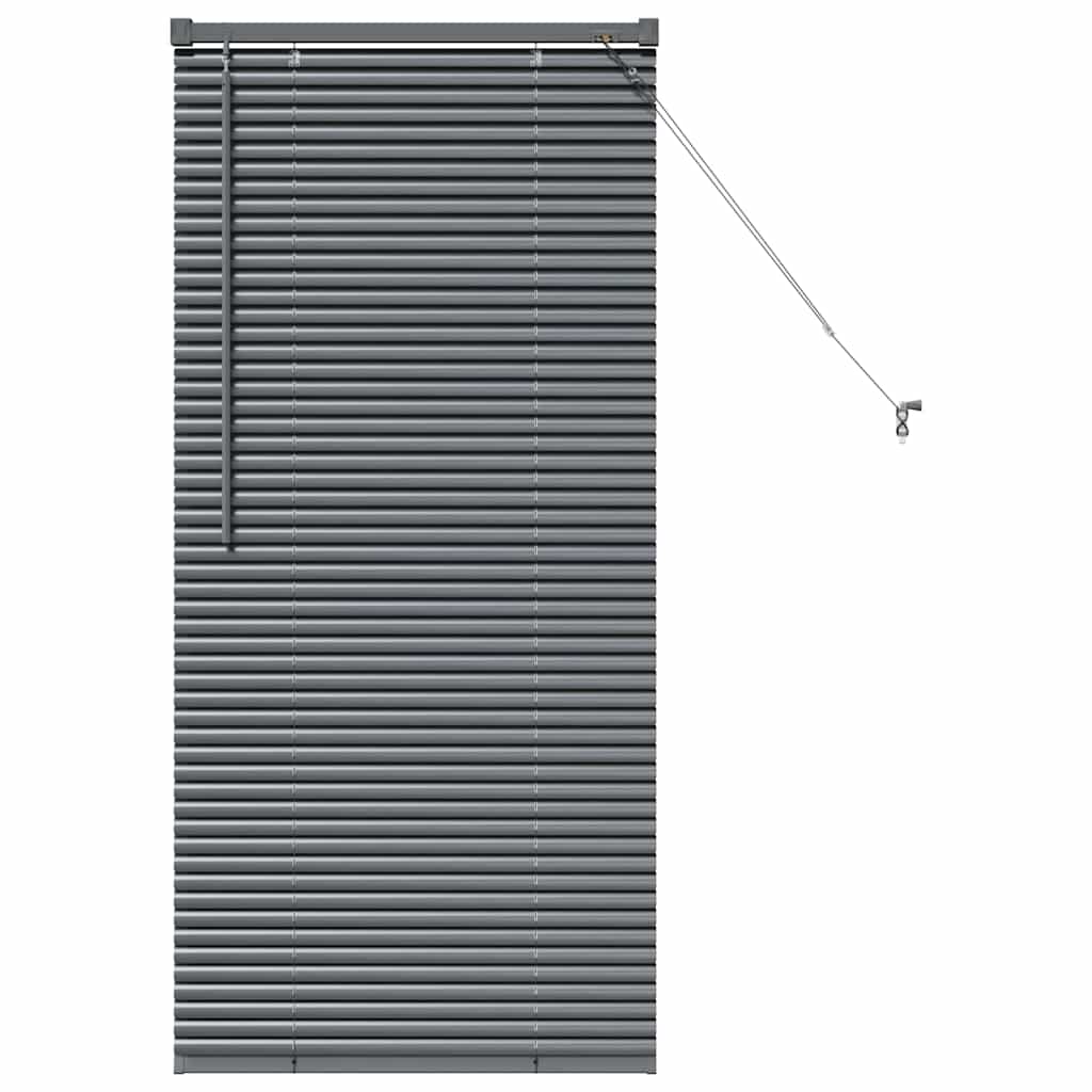 Venetian Blinds Manual Dark Grey 130 x 55 cm Aluminium