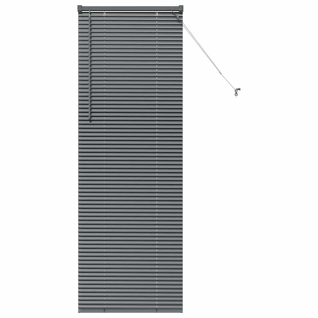 Venetian Blinds Manual Dark Grey 175 x 55 cm Aluminium