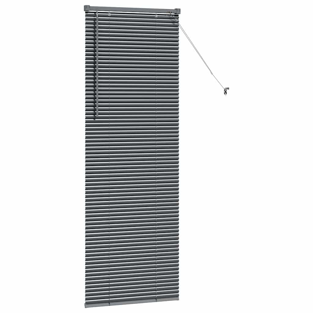 Venetian Blinds Manual Dark Grey 175 x 60 cm Aluminium