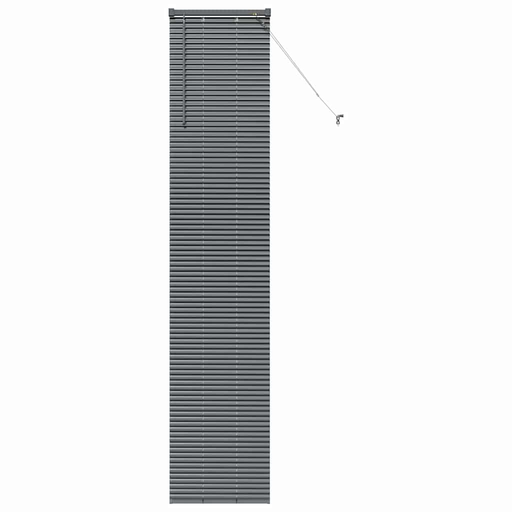 Venetian Blinds Manual Dark Grey 220 x 40 cm Aluminium