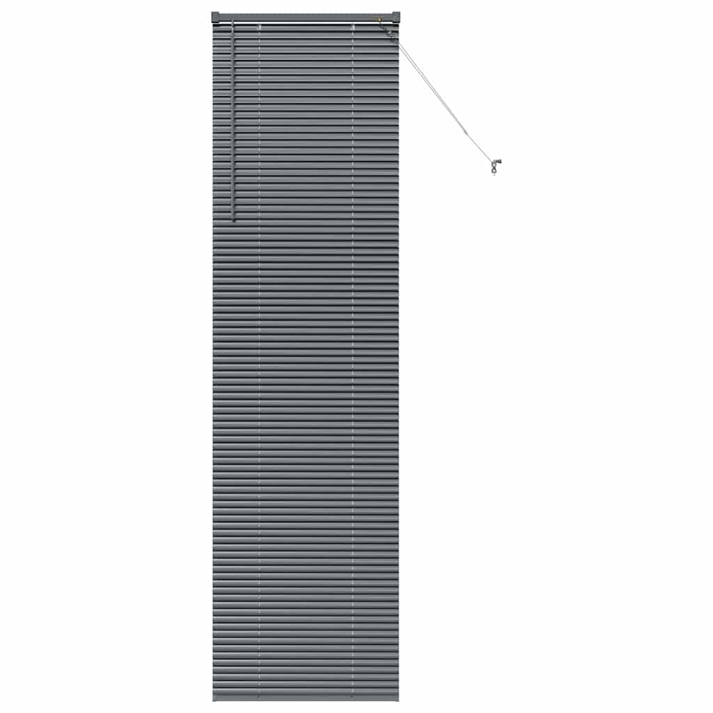 Venetian Blinds Manual Dark Grey 220 x 65 cm Aluminium