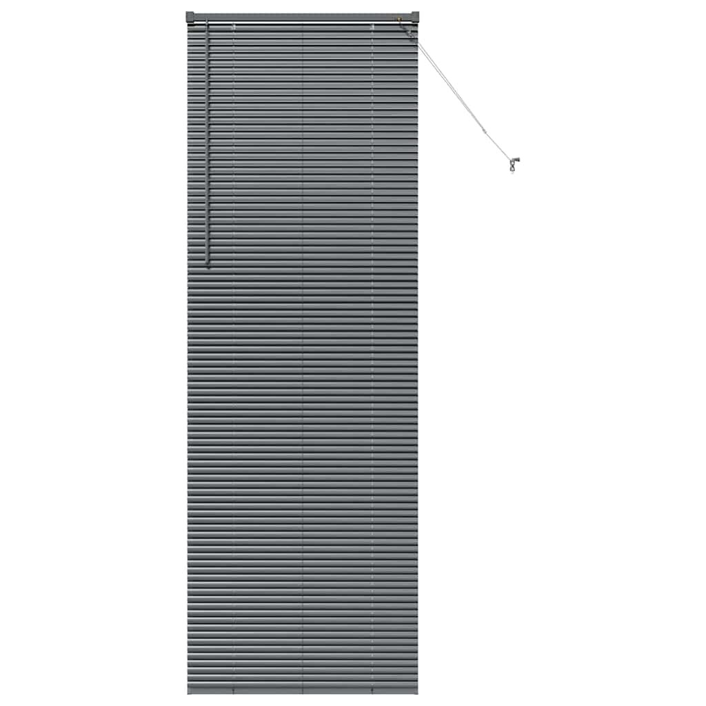 Venetian Blinds Manual Dark Grey 220 x 75 cm Aluminium