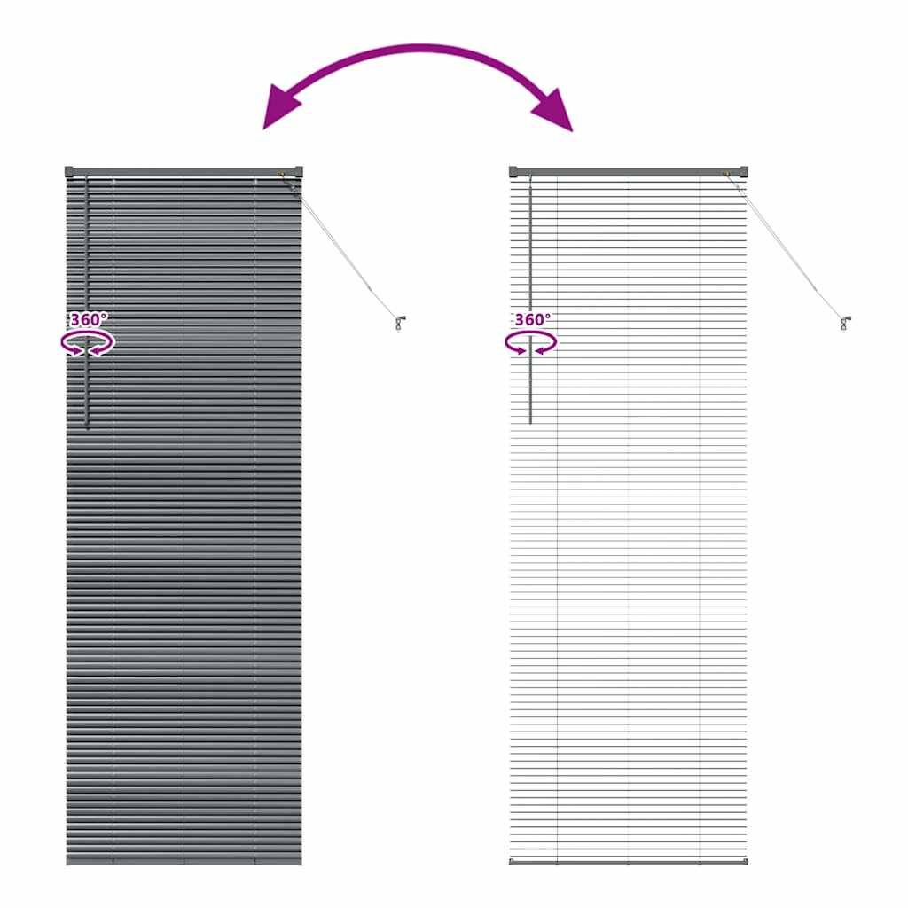 Venetian Blinds Manual Dark Grey 220 x 75 cm Aluminium