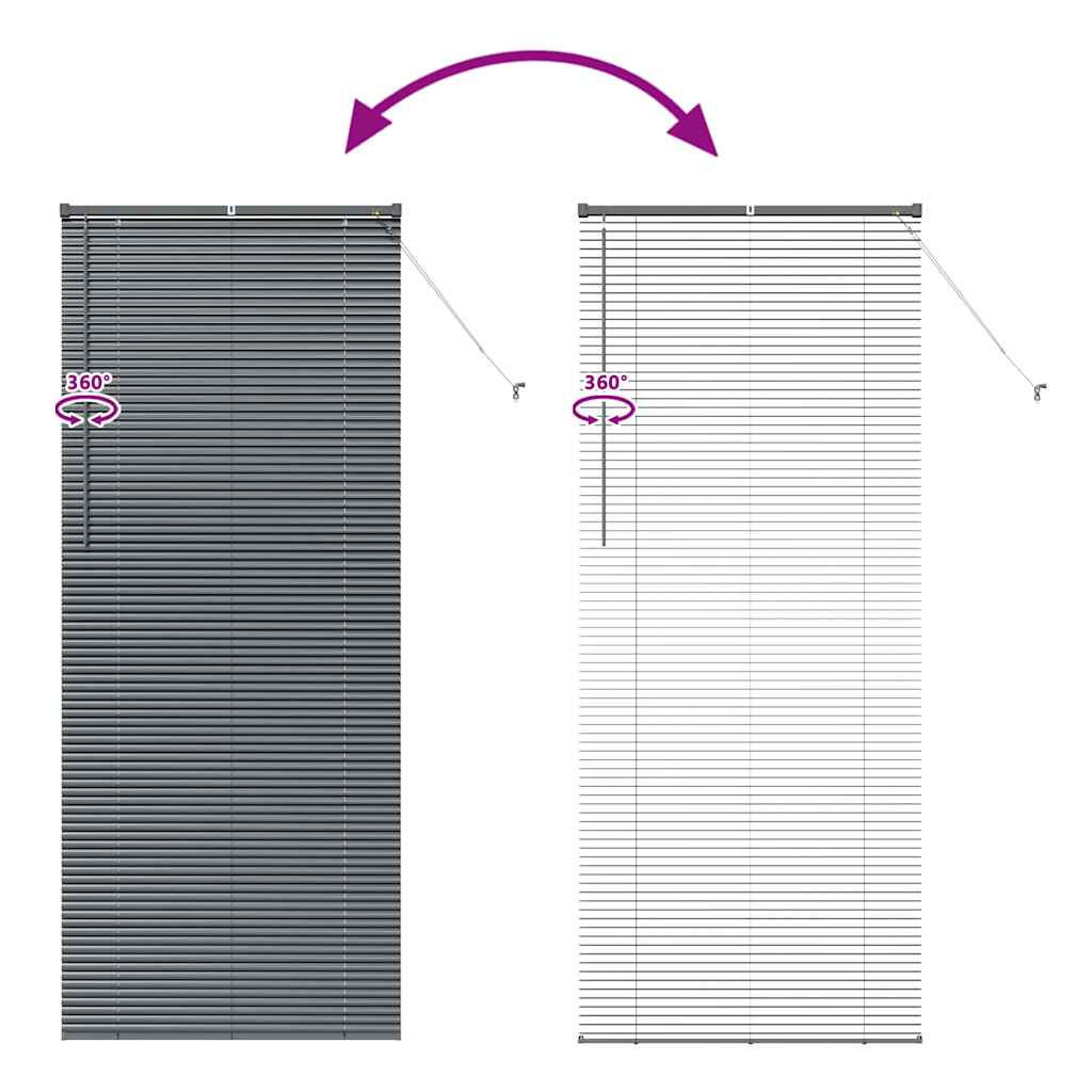 Venetian Blinds Manual Dark Grey 220 x 85 cm Aluminium