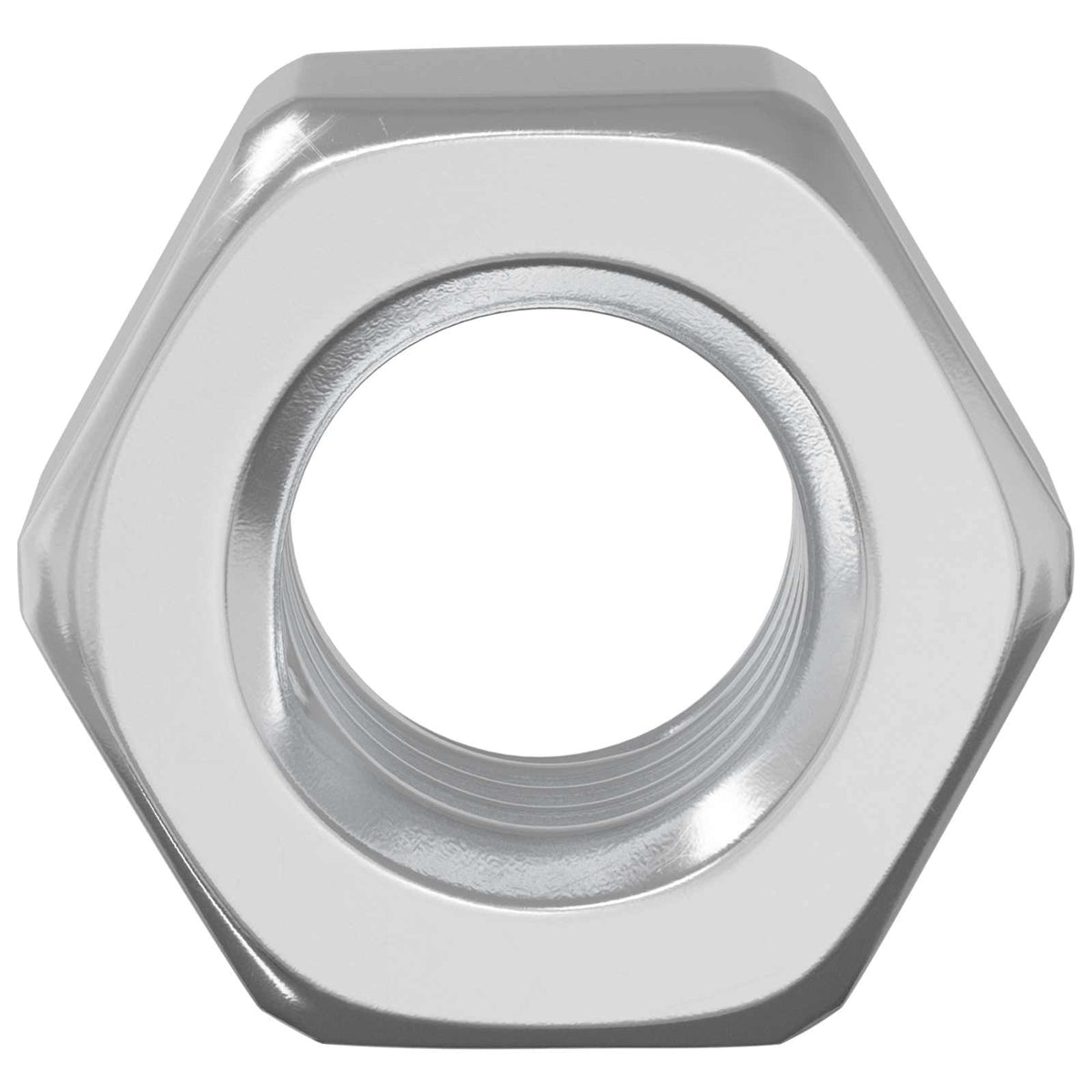 Hex Acorn Nuts 3913 pcs Silver Metal