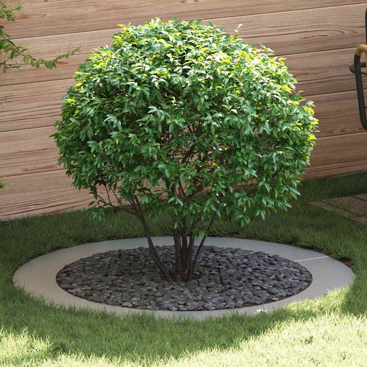 suitable for Flat Tree Rings 5 pcs Silver Ø90 / 120 cm