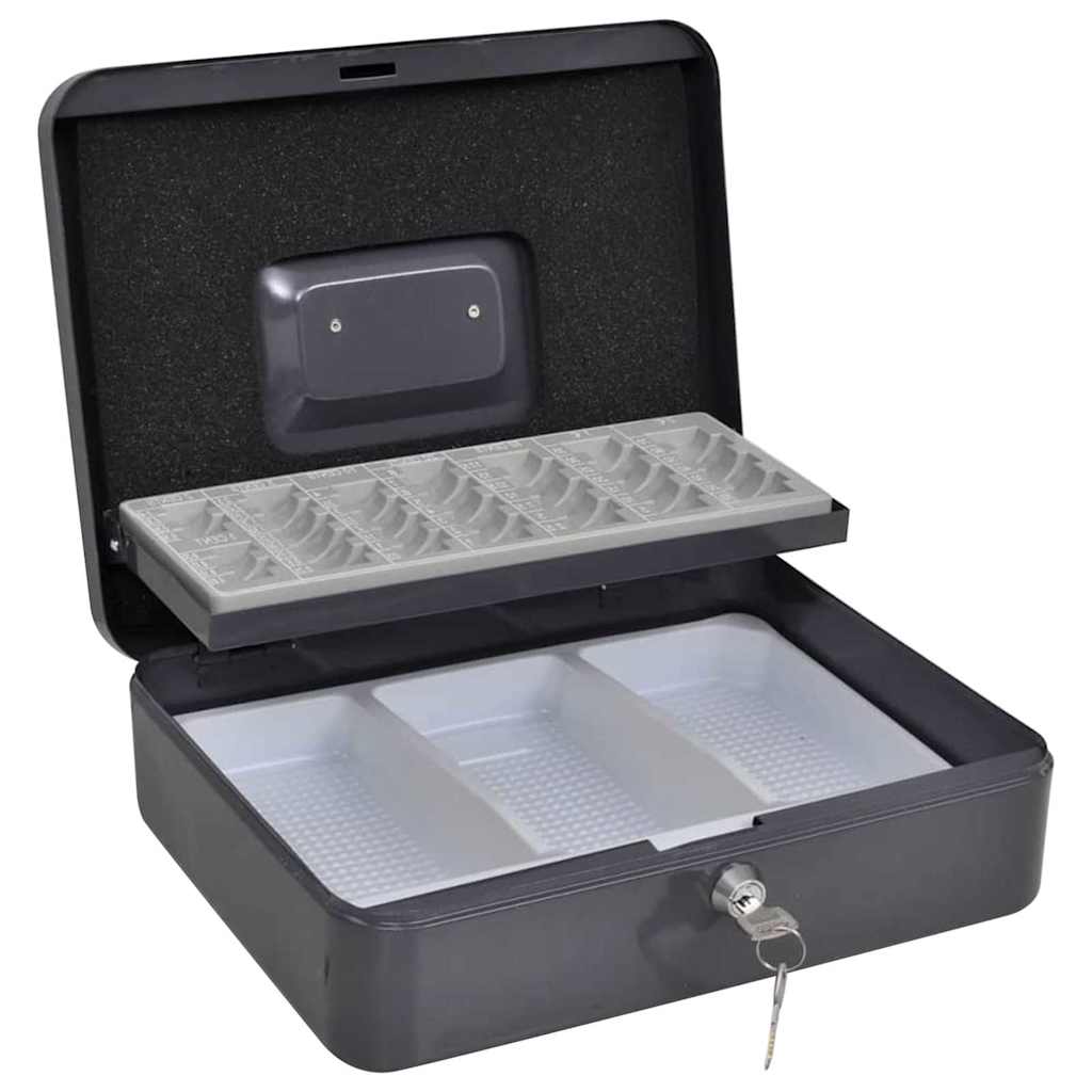 Cash Box with Lock Dark grey 30 x 24 x 9 cm Steel