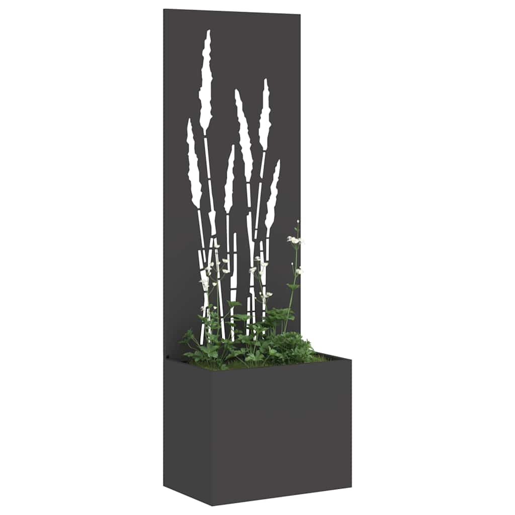Garden Privacy Screen Black 50 x 150 cm Cold-rolled steel