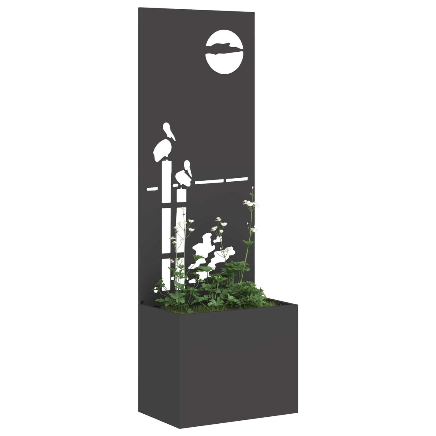 Garden Privacy Screen Black 50 x 150 cm Cold-rolled steel