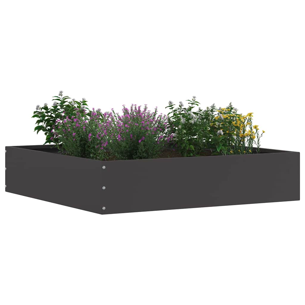 Lawn Edging 6 pcs Black 60 x 60 x 13 cm Steel