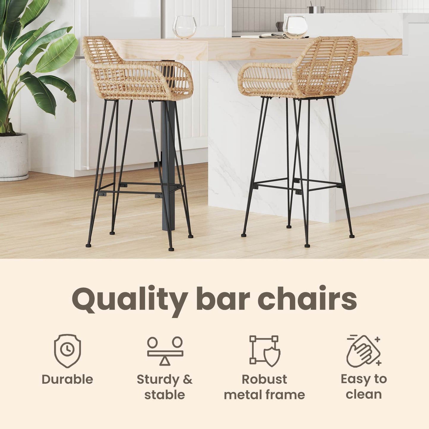Bar Chair 2 pcs 55 x 52 x 105 cm Rattan and Iron