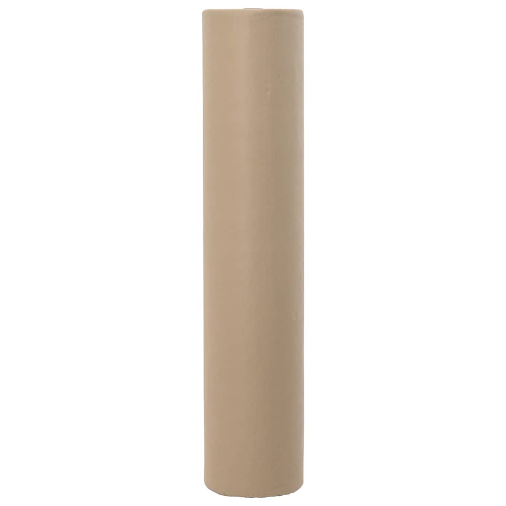 Frost Protection Plant Fleece Beige 100 x 1.6 m