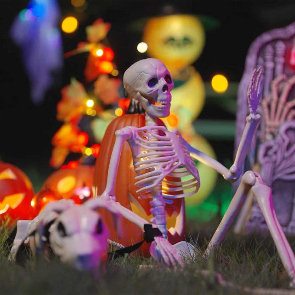 Halloween Decoration Skeleton 2 pcs White Polypropylene