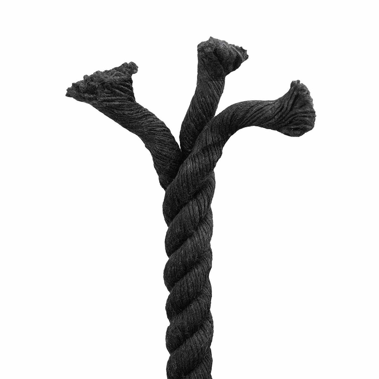 Rope Black 2 x 2 x 10000 cm Cotton