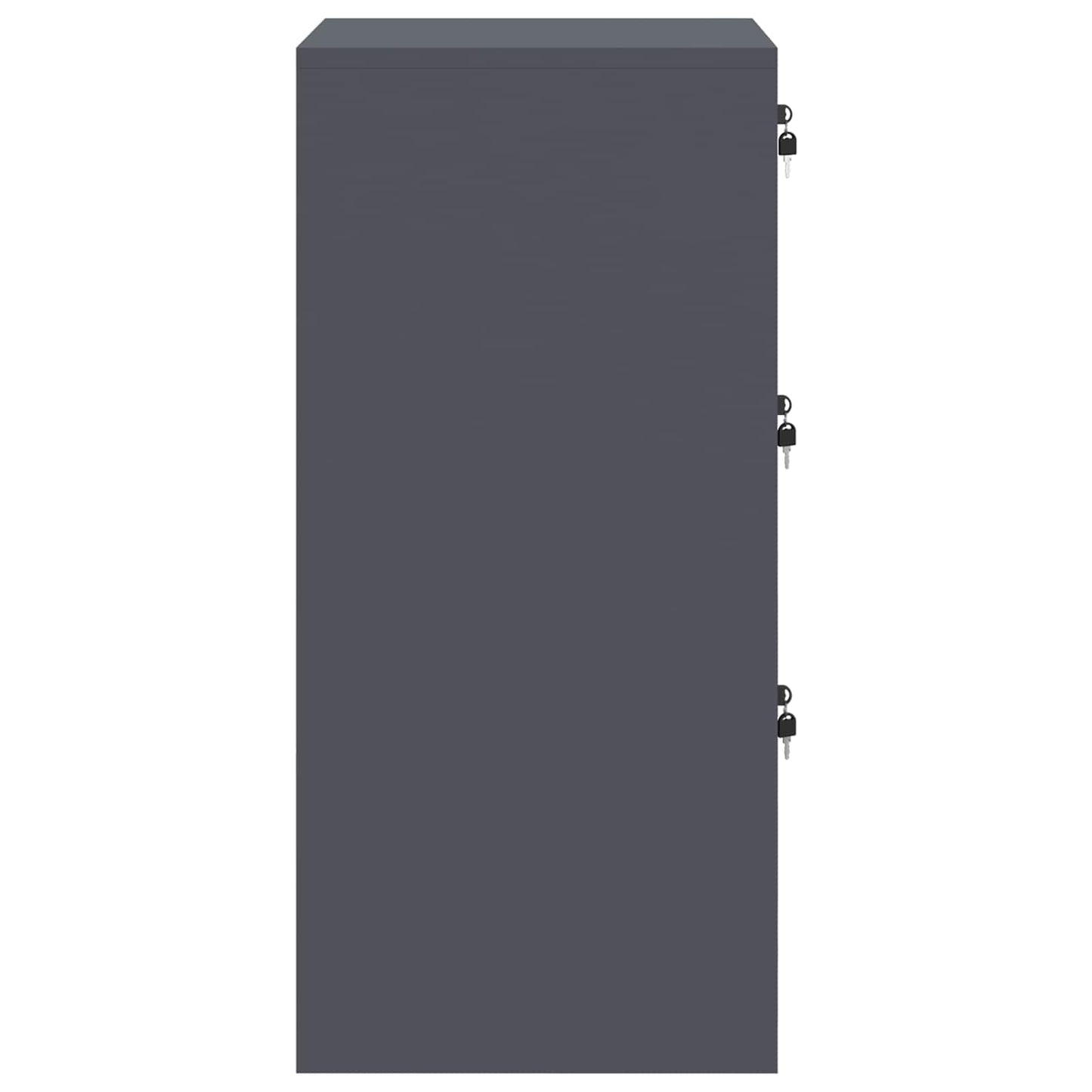 File Cabinet Anthracite 44 x 50 x 106.5 cm Cold-Rolled Steel