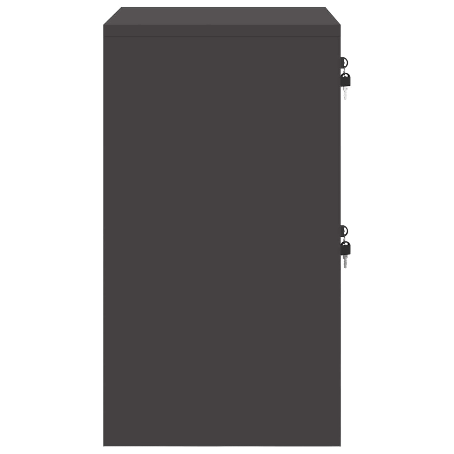 File Cabinet Black 45.5 x 42 x 74.5 cm Cold-Rolled Steel