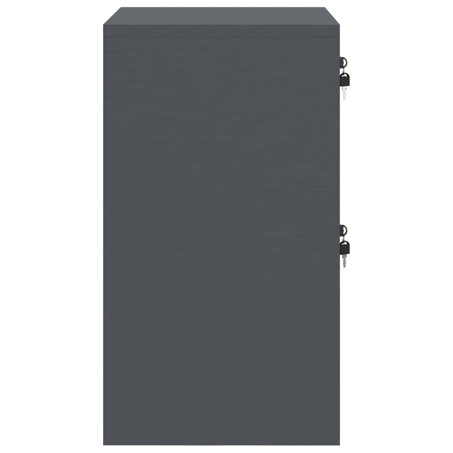 File Cabinet Anthracite 45.5 x 42 x 74.5 cm Cold-Rolled Steel