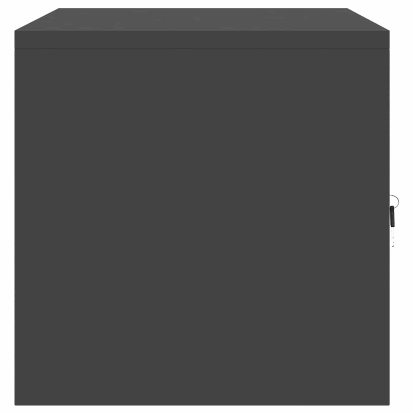 Storage Cabinet Black 80 x 40 x 40 cm Steel