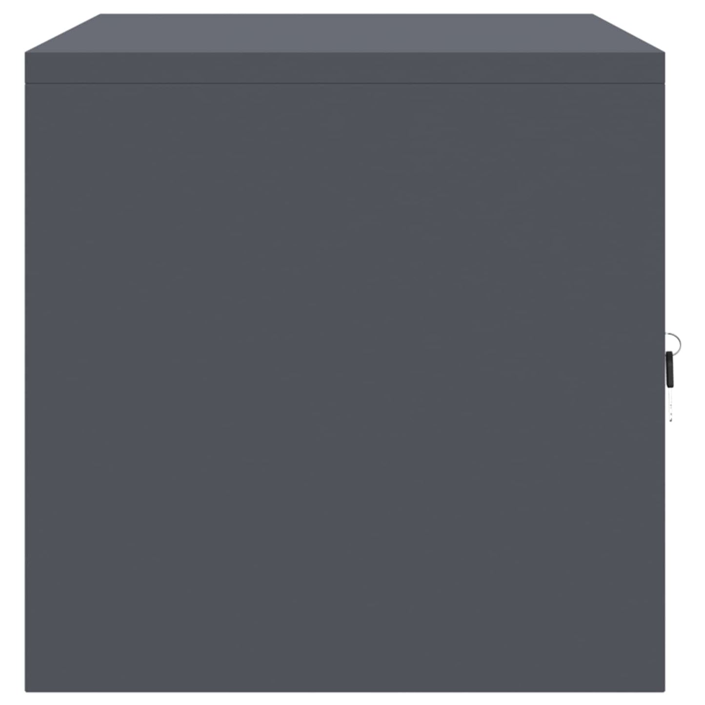 Storage Cabinet Anthracite 80 x 40 x 40 cm Steel