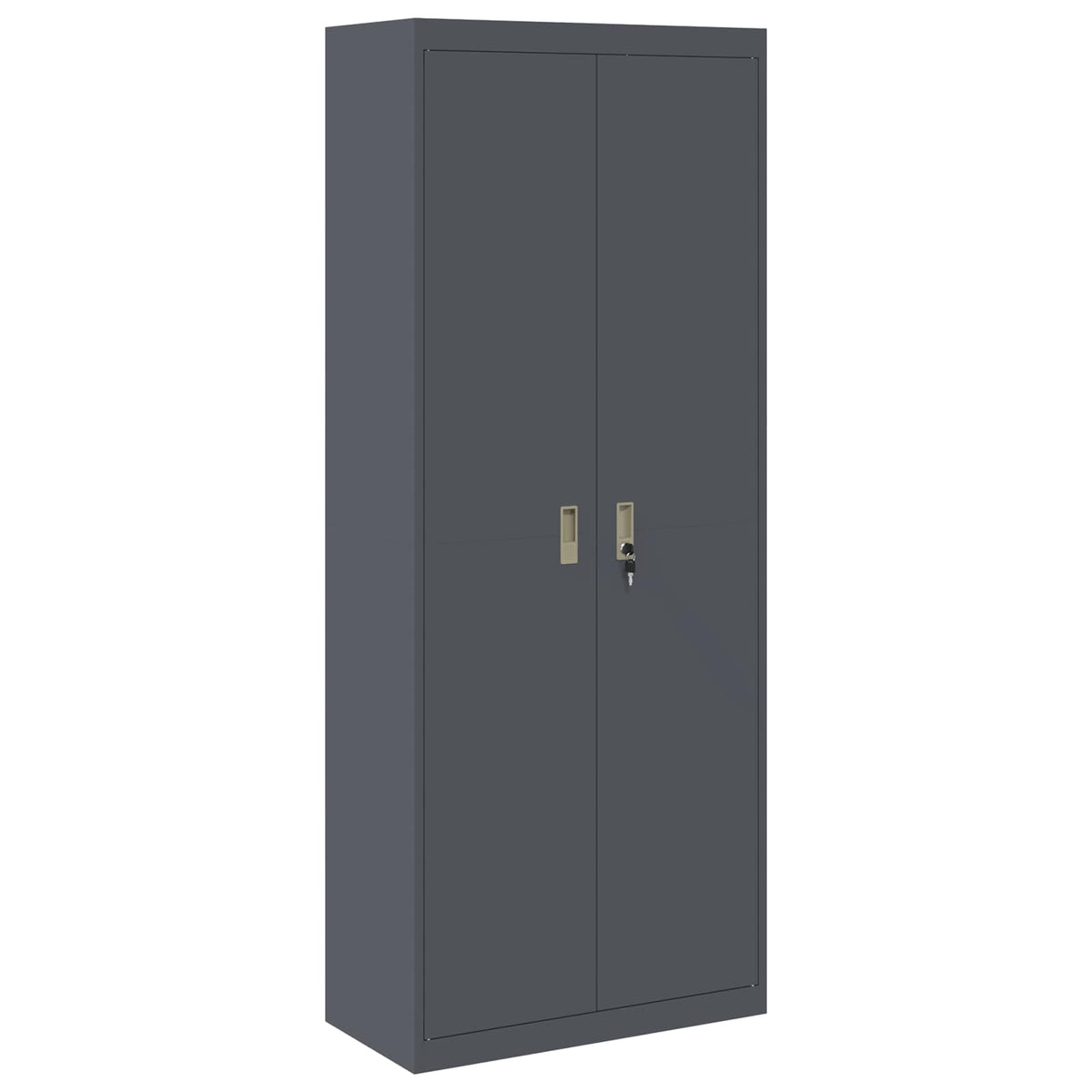 Storage Cabinet Anthracite 80 x 40 x200 cm Steel