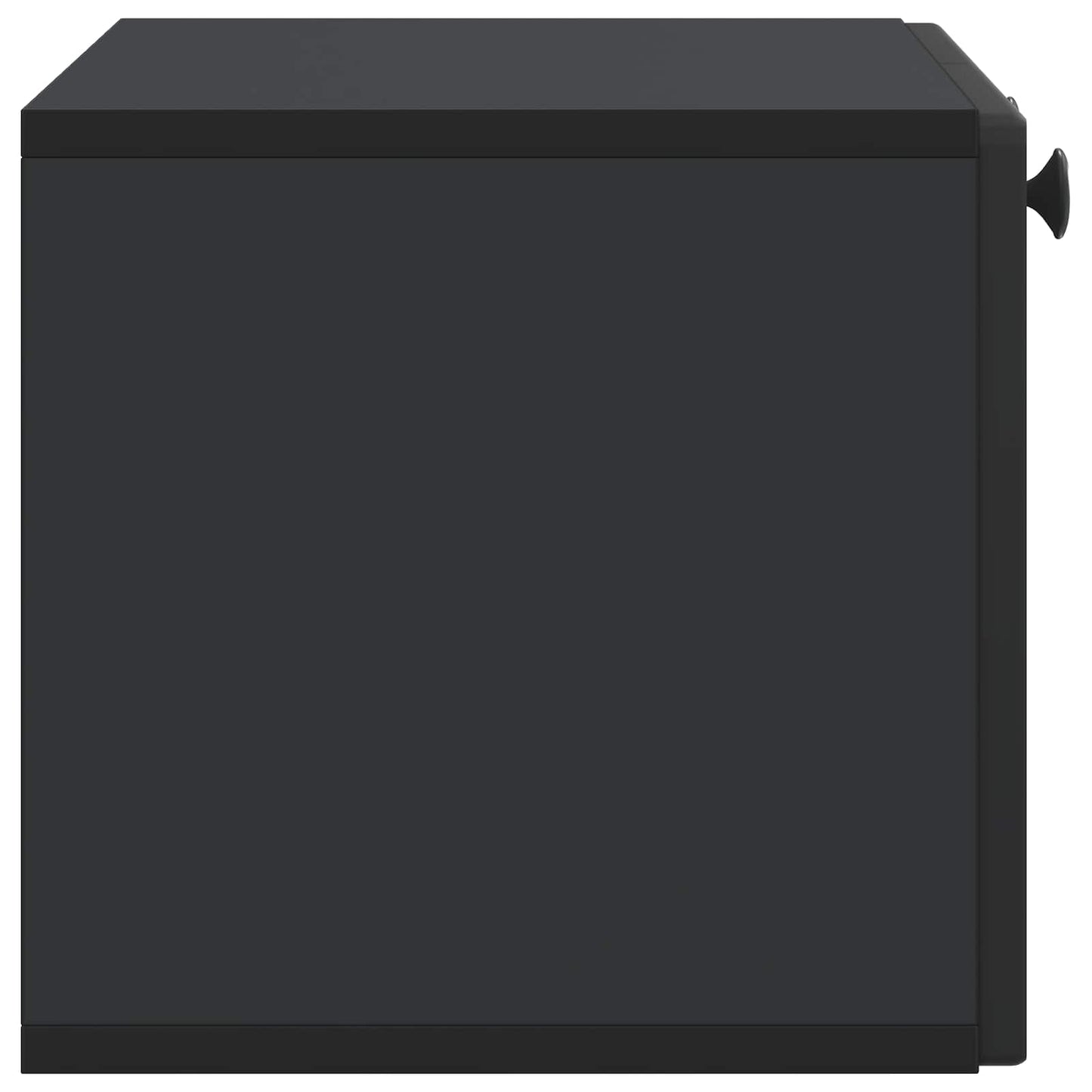 Wall-Mounted TV Cabinet Black 59.5 x 31 x 30 cm Engineered Wood