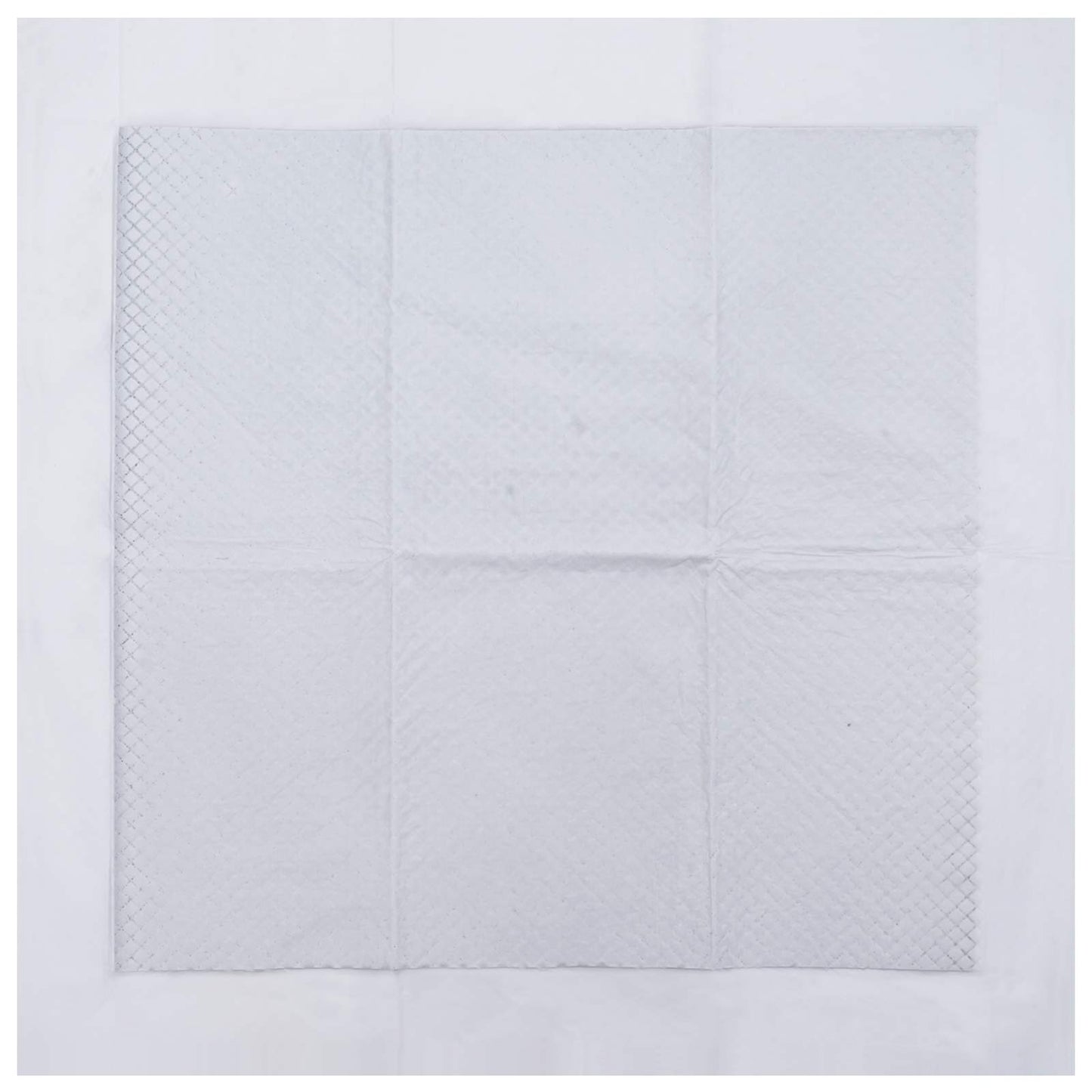 Non-woven Fabric Pet Training Pad 100 pcs 60 x 60 cm