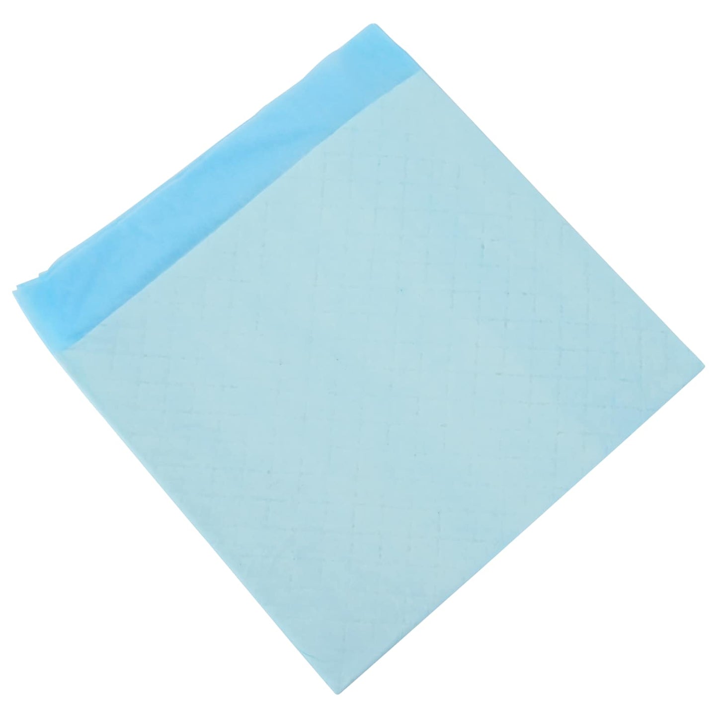 Non-woven Fabric Pet Training Pad 200 pcs Blue and White