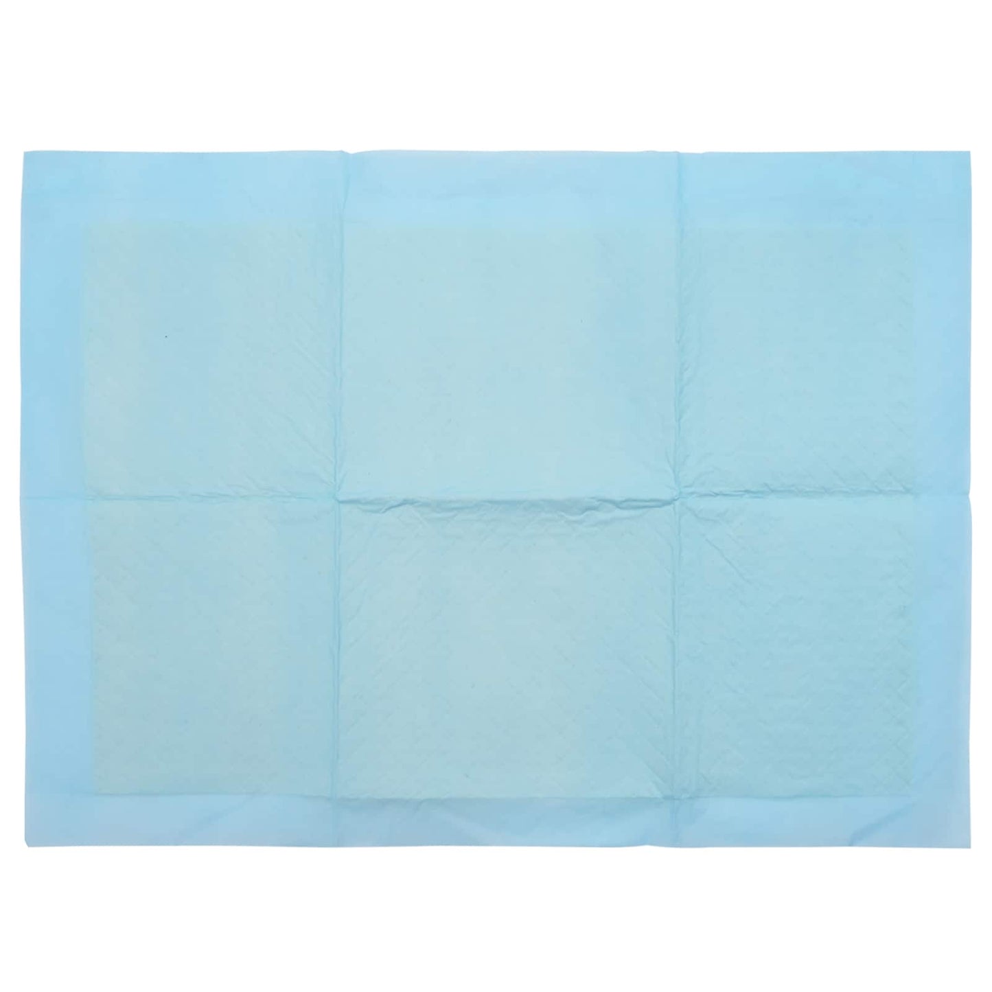 Non-woven Fabric Pet Training Pad 200 pcs Blue and White