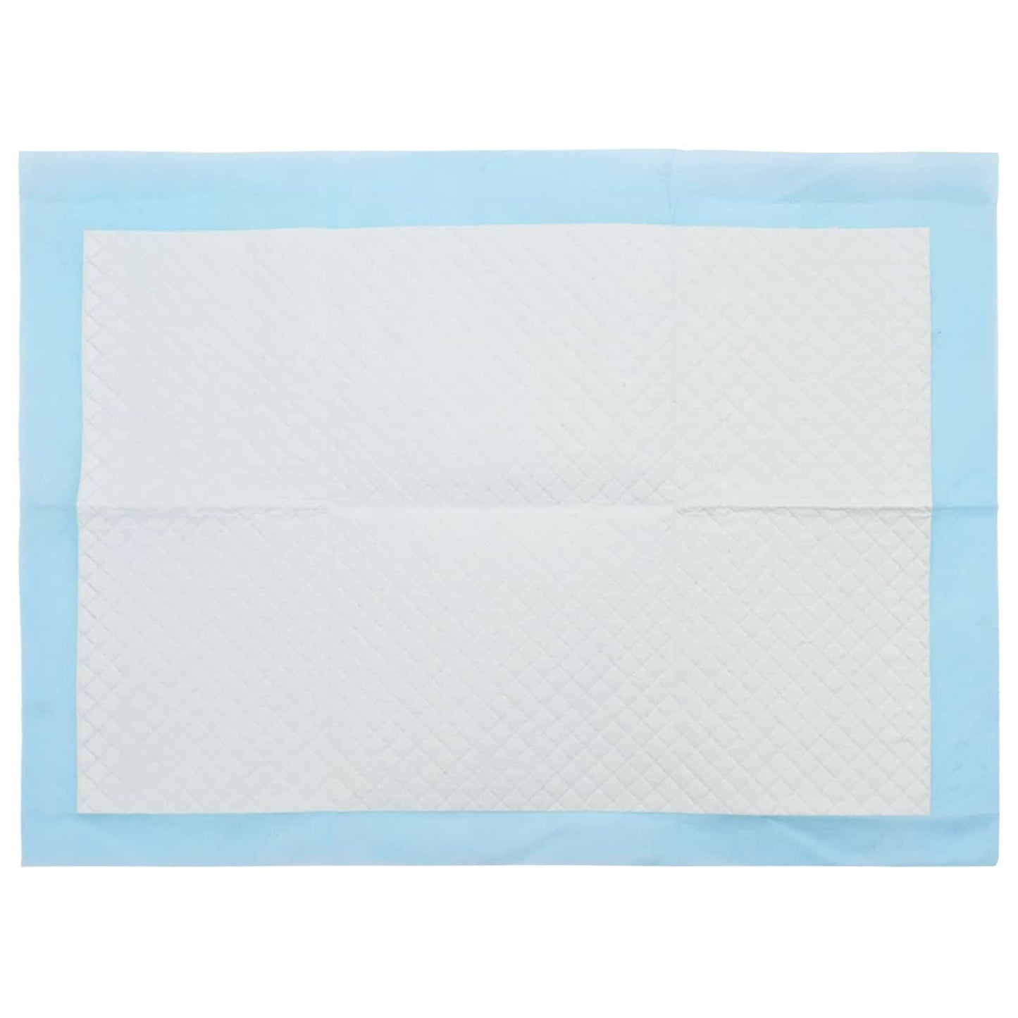 Non-woven Fabric Pet Training Pad 400 pcs Blue and White