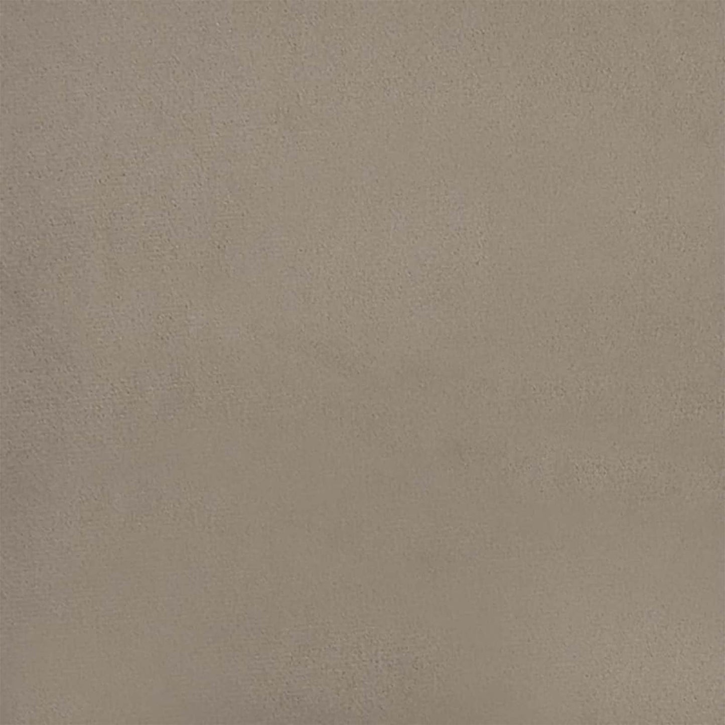 Dining Chair 2 pcs Light Grey 55 x 59.5 x 77 cm Velvet