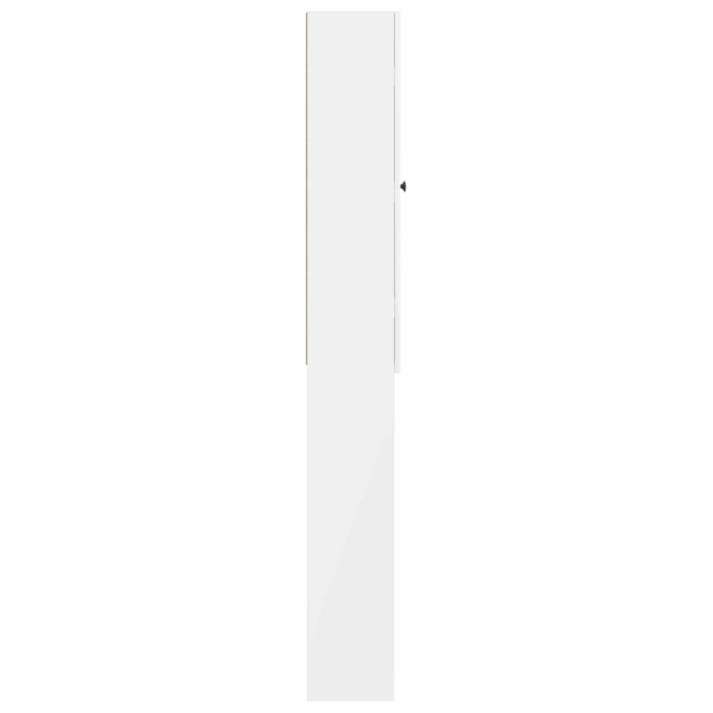 Toilet Cabinet ALKMAAR High Gloss White 66 x 25.5 x 190 cm
