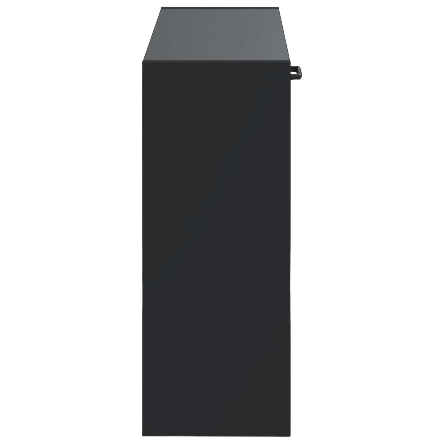 Wall-Mounted Shoe Cabinet UTRECHT 71 x 17 x 43 cm Black