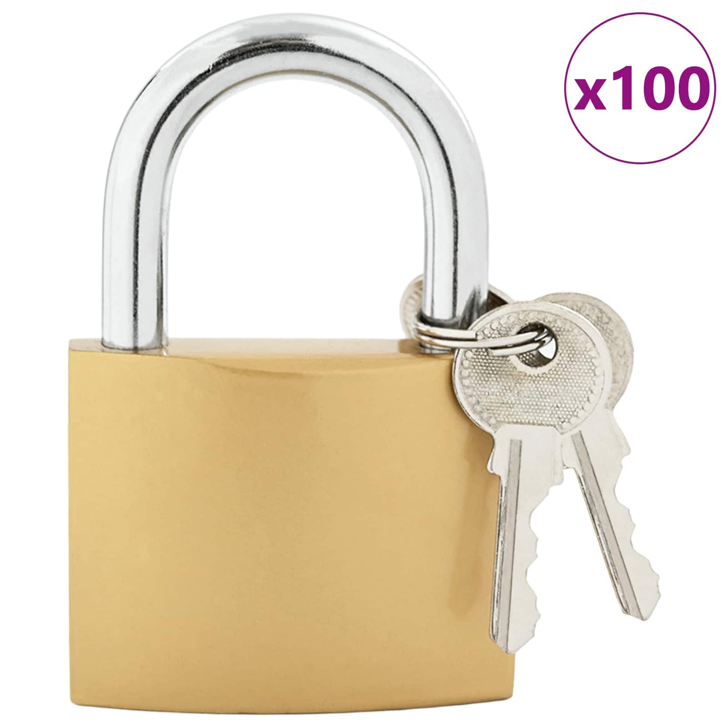 U Lock with Keys Brass 7.4 x 2.1 x 10.6 cm Iron