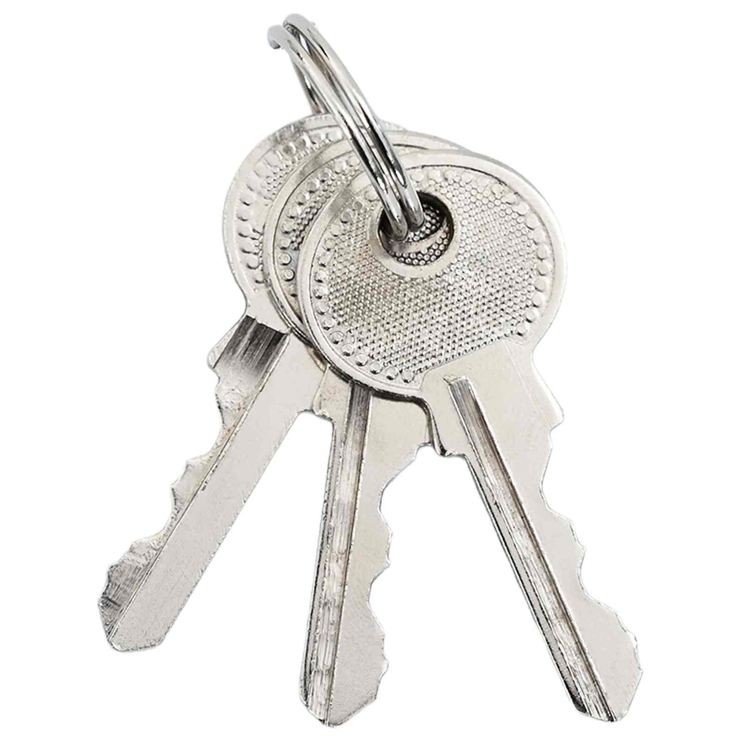 U Lock with Keys Brass 7.4 x 2.1 x 10.6 cm Iron