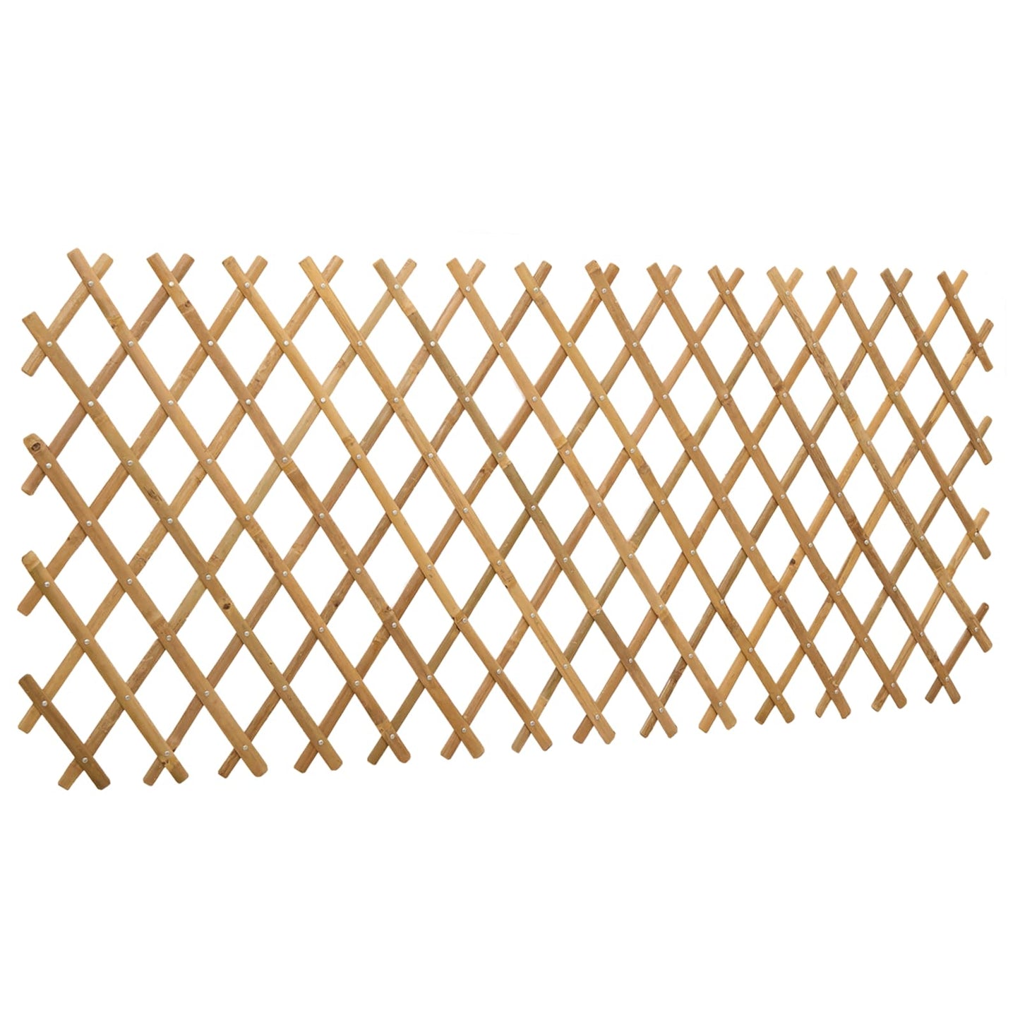 Expandable Trellis Fence 2 pcs Light Brown 100 x 105 cm Bamboo