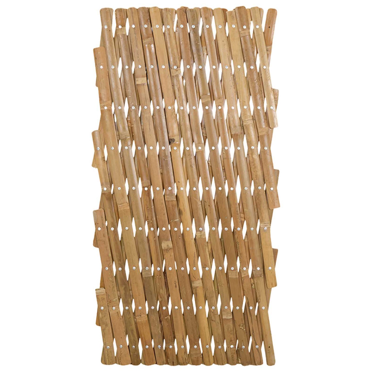 Expandable Trellis Fence 2 pcs Light Brown 100 x 105 cm Bamboo