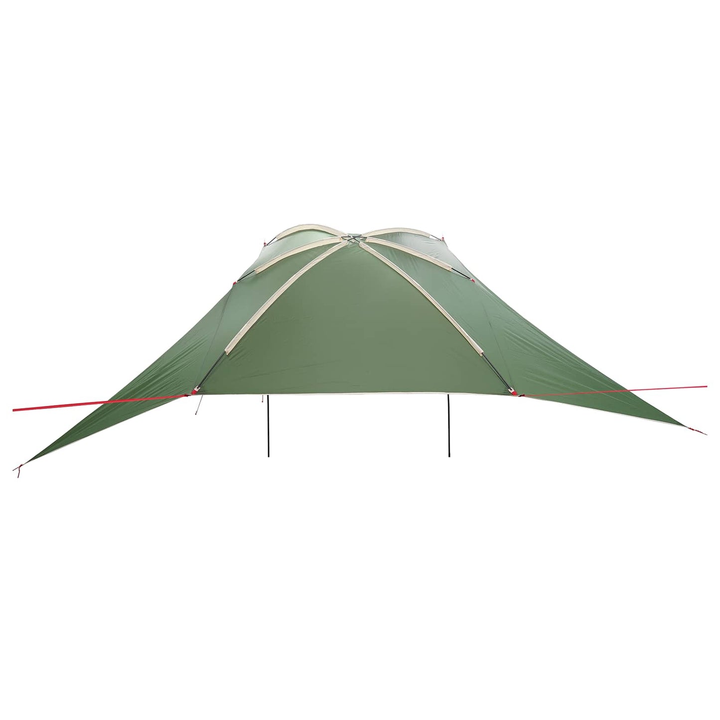 Car Tent with Roof Green 308 x 215 x 220 cm Polyester and Steel